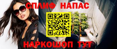 гидра Гагарин