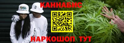 дмт Гай