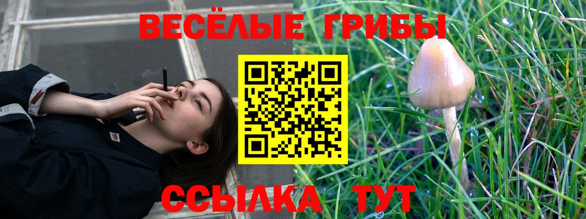 Галлюциногенные грибы Psilocybine cubensis  Вход с VPN  Минусинск 