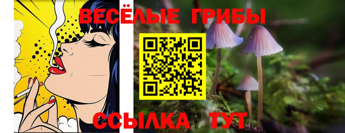 Галлюциногенные грибы прущие грибы Минусинск